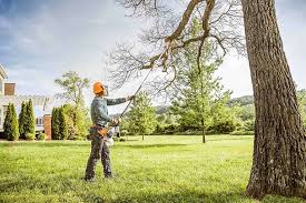 Best Arborist Consultation Services  in Rock Hall, MD